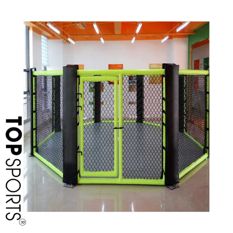 san dai tap luyen mma ufc