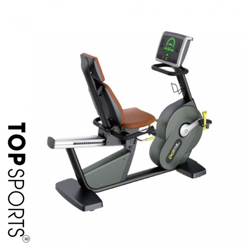 mÁy ĐẠp xe recumbent x9109